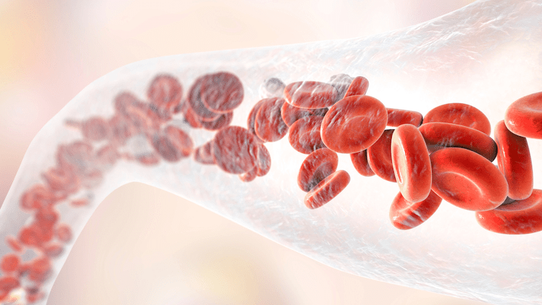 Stylized image blown up of blood corpuscles coursing through the veins