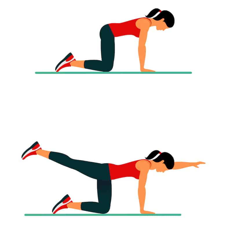 Bodyweight back exercises for a strong and beautiful body. Diagram showing the bird dog exercise.