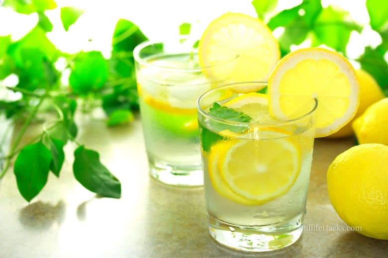 2 glasses of water with fresh lemon slices