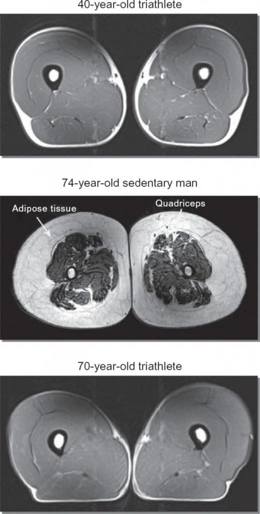 Muscle fit images