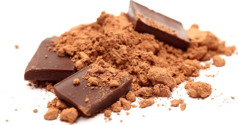 Pieces of chocolate in cocoa powder
