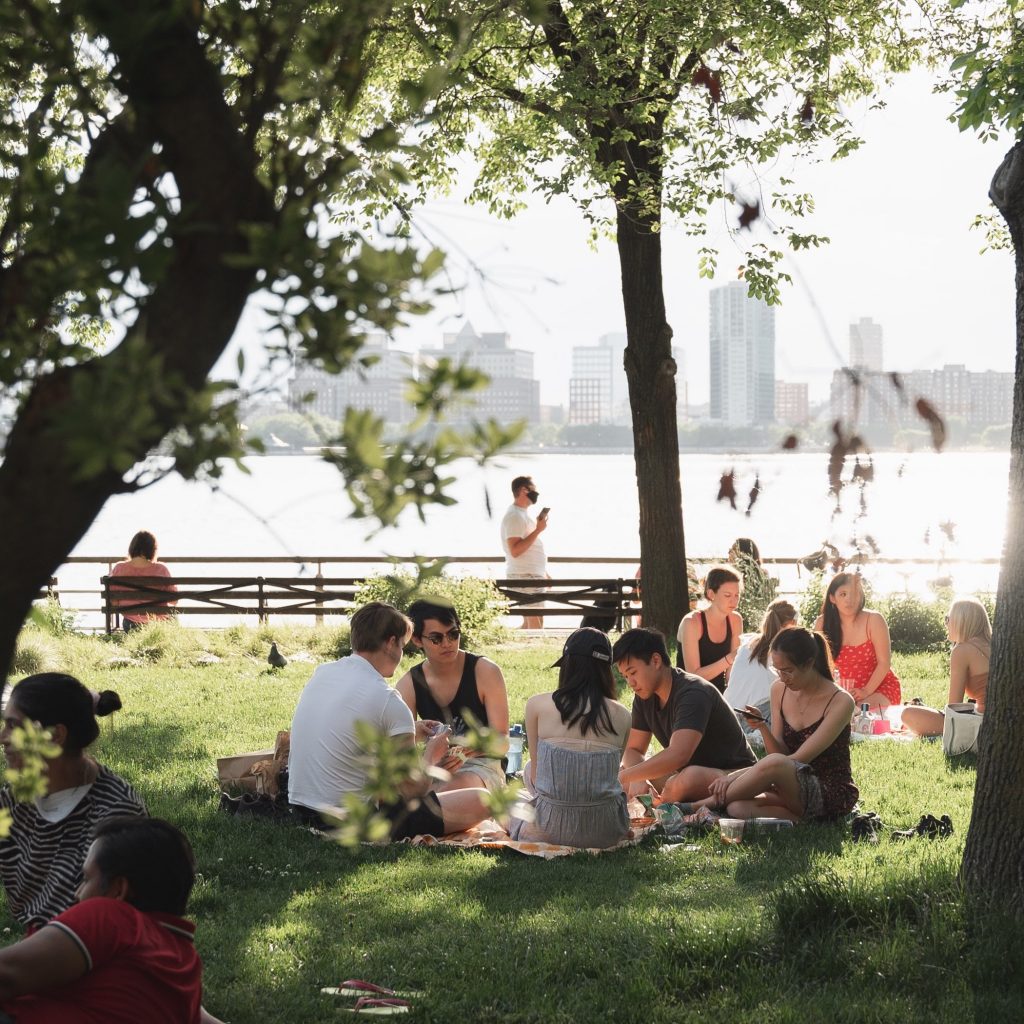 Groups of friends in New York park