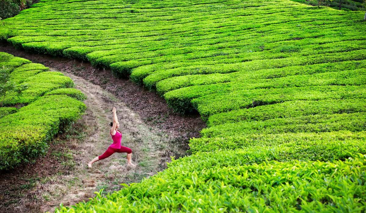 Tai Chi vs Yoga – Which is Best for Enhancing Health & Fitness